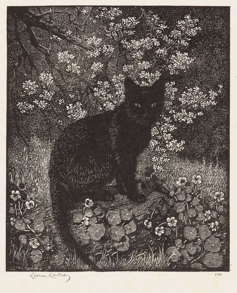 The Witch black cat familiar art 13" by 19" glossy wall poster