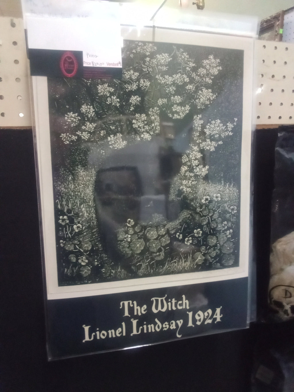 The Witch black cat familiar art 13" by 19" glossy wall poster