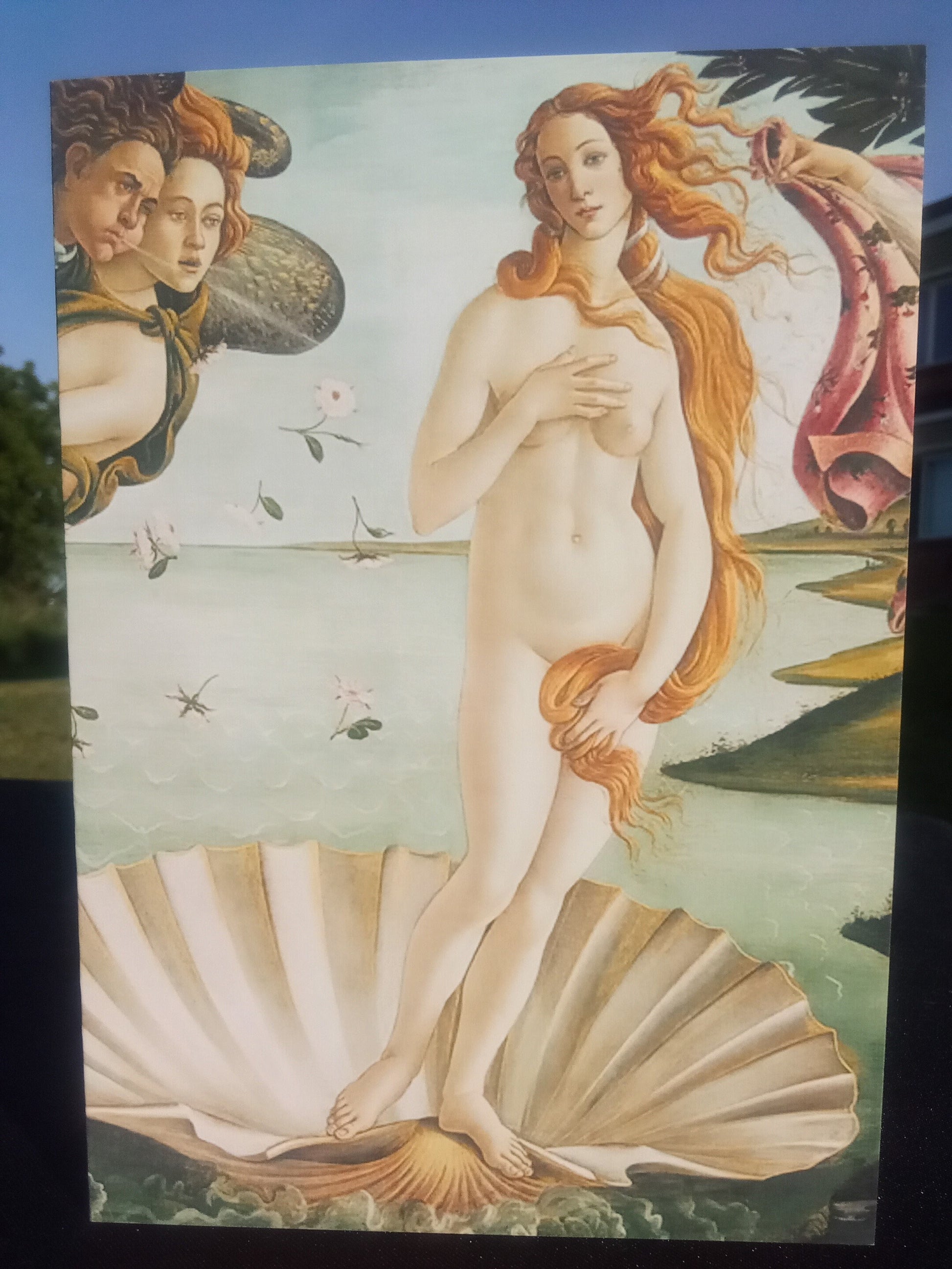 Mighty Aphrodite / Birth of Venus Customizable Greeting Cards